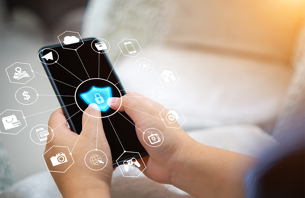mirXes-data-privacy&security